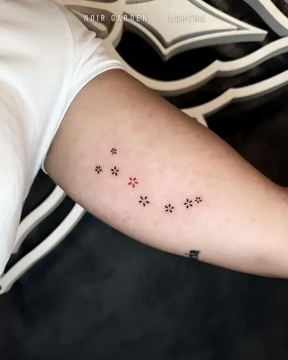 Constelación de estrellas pequeñas, una de ellas en rojo