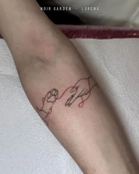 Mano y pata de gato unidas por un hilo rojo