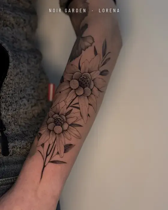 Dos flores de edelweiss con hojas en el antebrazo