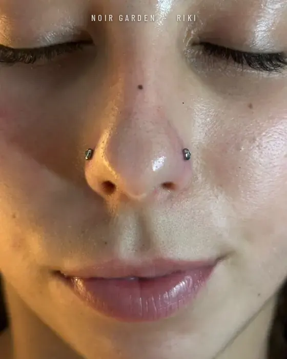 Dos piercings de nostril a juego