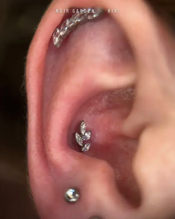 Conch con joya de hojas y helix con circonitas