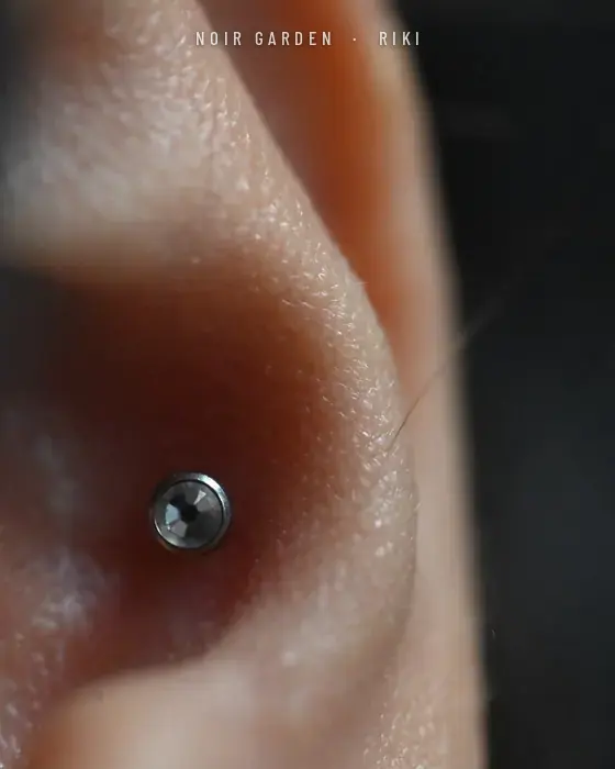 Conch con circonita en primer plano