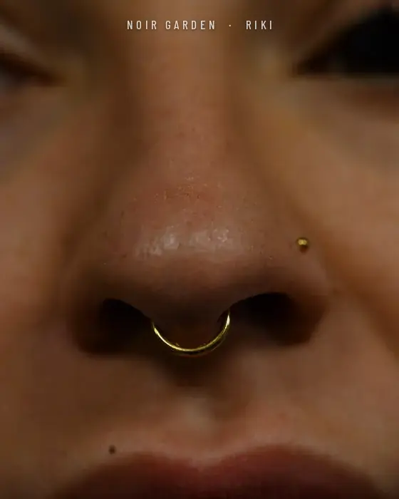 Septum dorado y nostril