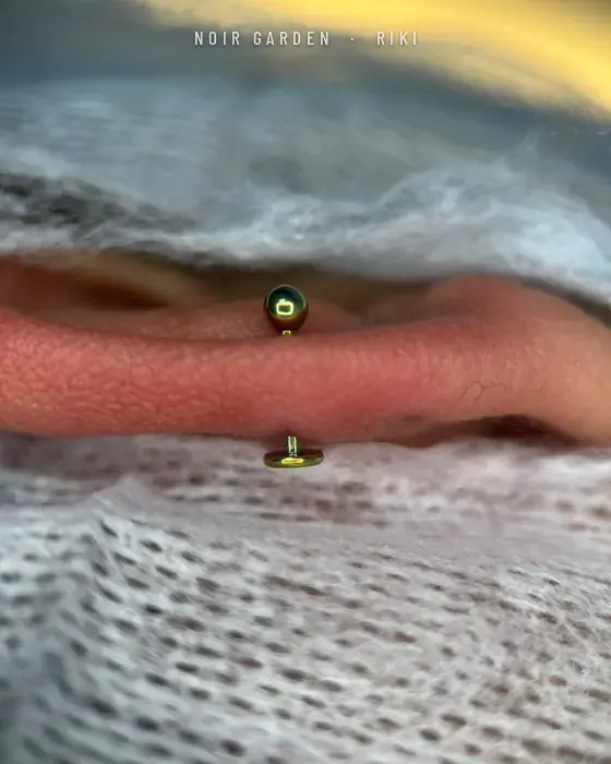Labret vertical con joyería dorada